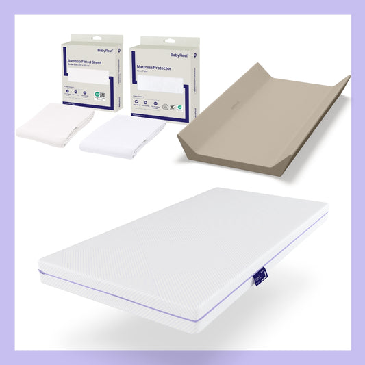 Expo Accessories Bundle