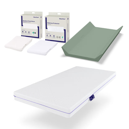 Expo Accessories Bundle
