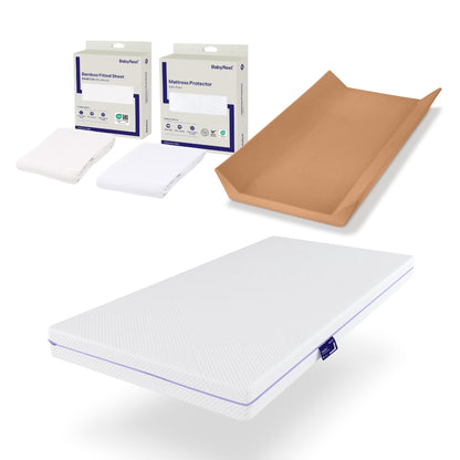 Expo Accessories Bundle